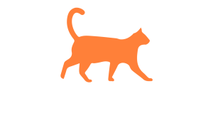 Logo-BongoDigital-Co